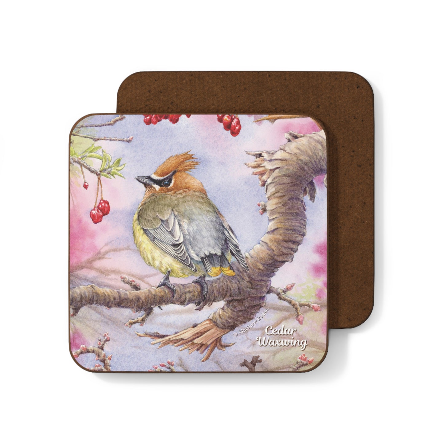 Cedar Waxwing | Hardboard Back COASTER | Part of the Bohan Art Songbird Collection | Watercolor Art, Birder Gift, Bird | 3.5 inches square
