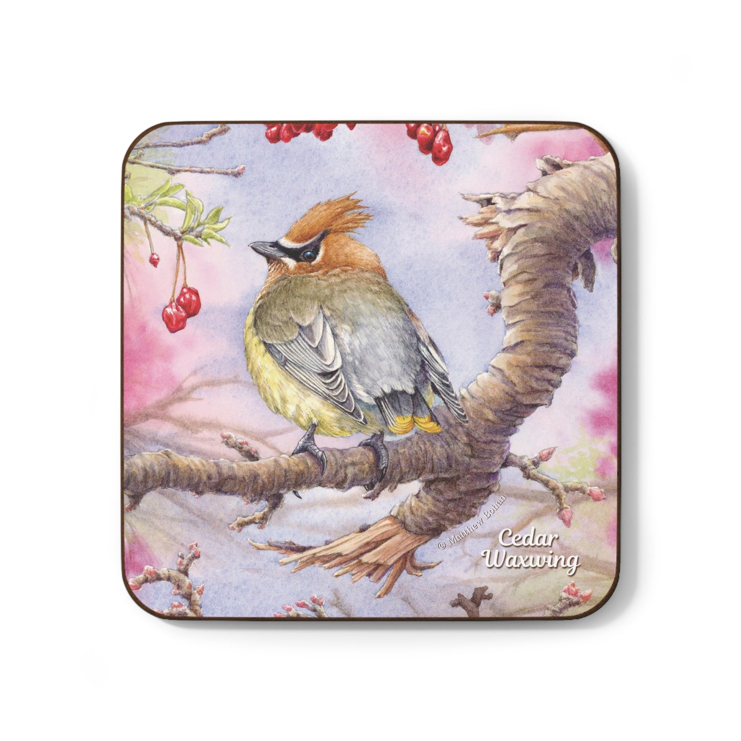 Cedar Waxwing | Hardboard Back COASTER | Part of the Bohan Art Songbird Collection | Watercolor Art, Birder Gift, Bird | 3.5 inches square